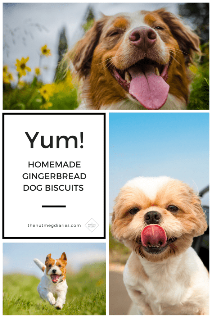 Gingerbread Dog Treats