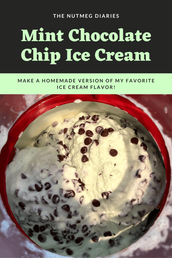 Mint Chocolate Chip Homemade Ice Cream