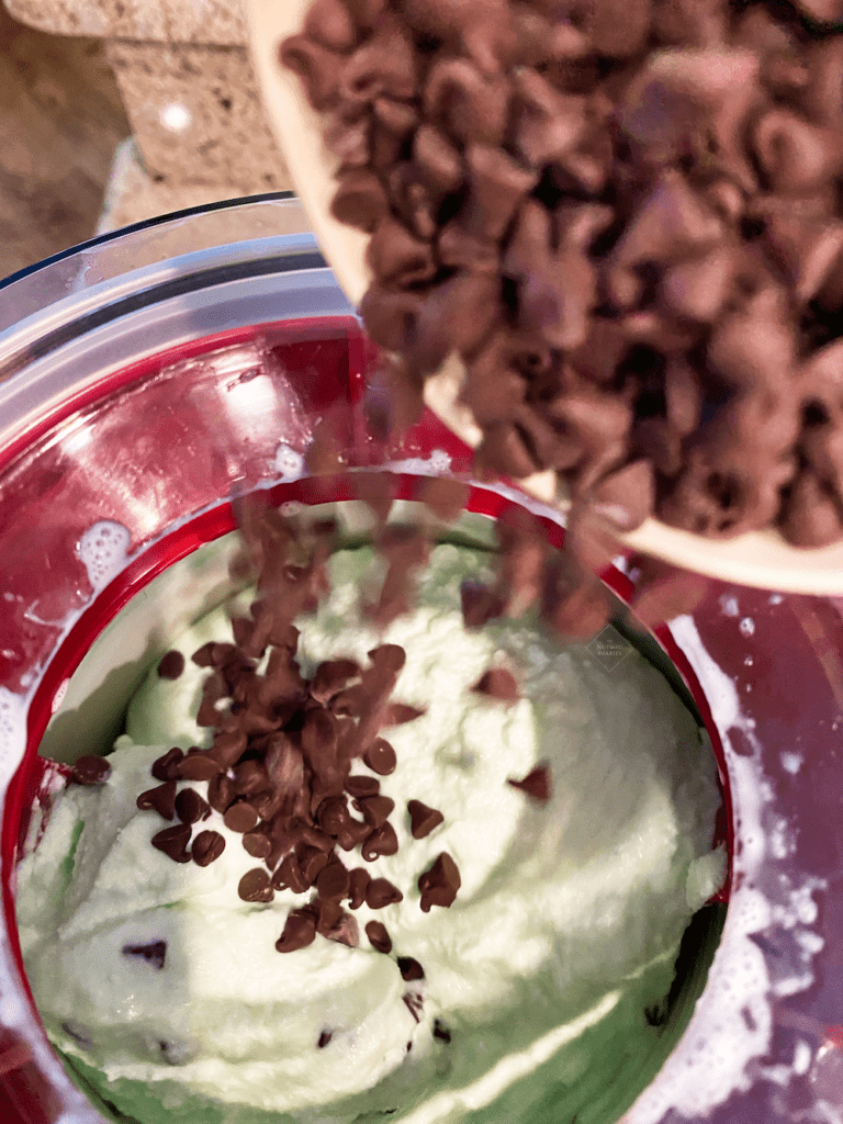 Mint Chocolate Chip Homemade Ice Cream