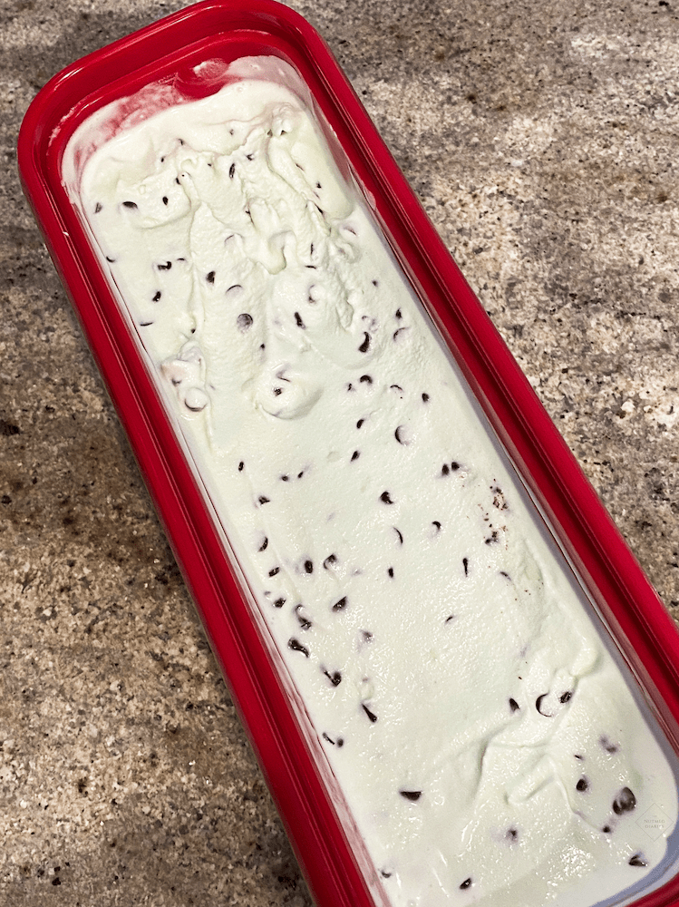 Mint Chocolate Chip Homemade Ice Cream