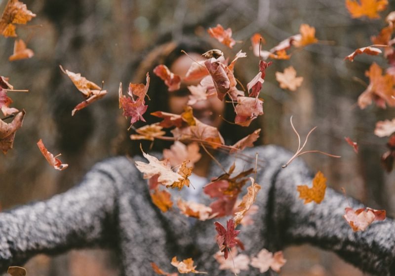 Fall