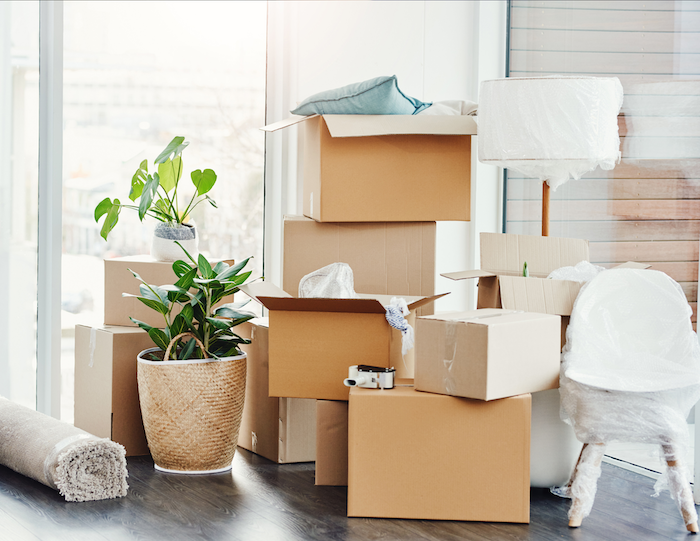 Help Your Toddler During a Move