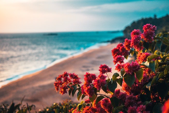 summer quotes